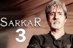 Sarkar 3, Amitabh Bacchan, megastar amitabh bacchan stars shooting for sarkar 3, Movie news